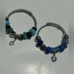 Silver and Blue Charm Bracelet with Heart and Paw Charms